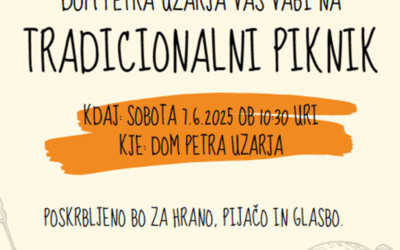 Tradicionalni domski piknik