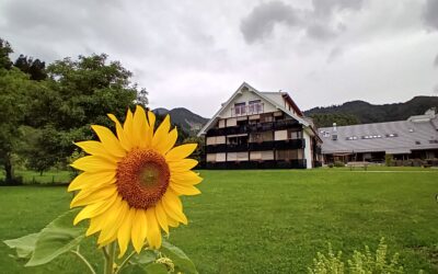 Aktivnosti meseca julija