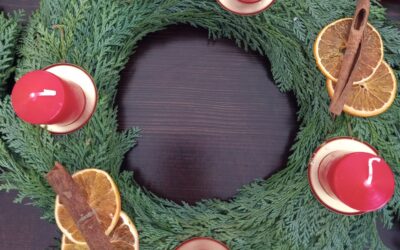 Aktivnosti meseca novembra