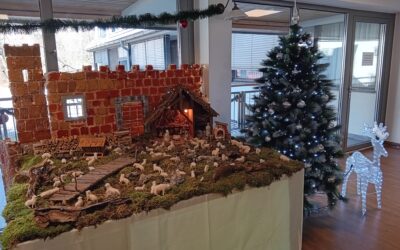 Aktivnosti meseca decembra